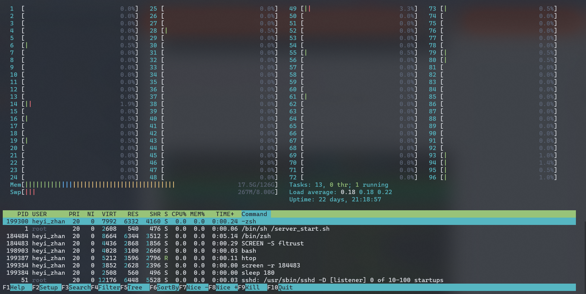 htop_server